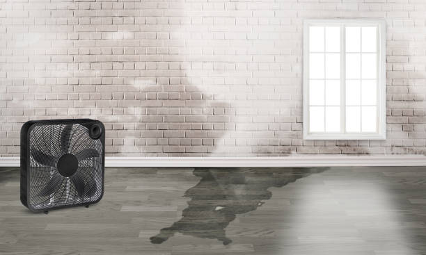 Best 24-hour water damage restoration  in Broadway, VA