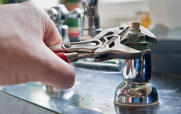 Best Mold removal after water damage  in Broadway, VA